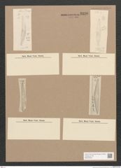 Diatomeae indet. Zeichnungen Sammlung Grunow Nr. 3336 (NHMW-BOT-W0370843)